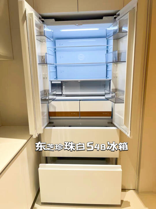 一屋四人三餐四季爱我家高颜值又能囤的冰箱