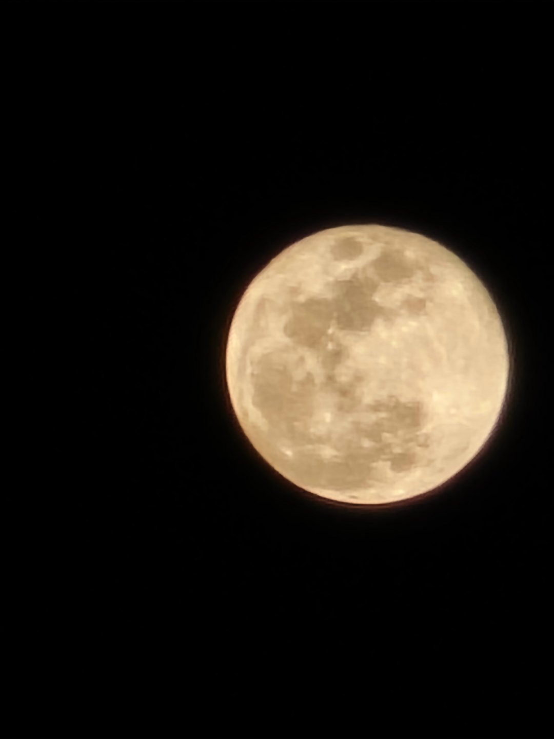 今天的月亮很圆，还有半个月就过年了～ 