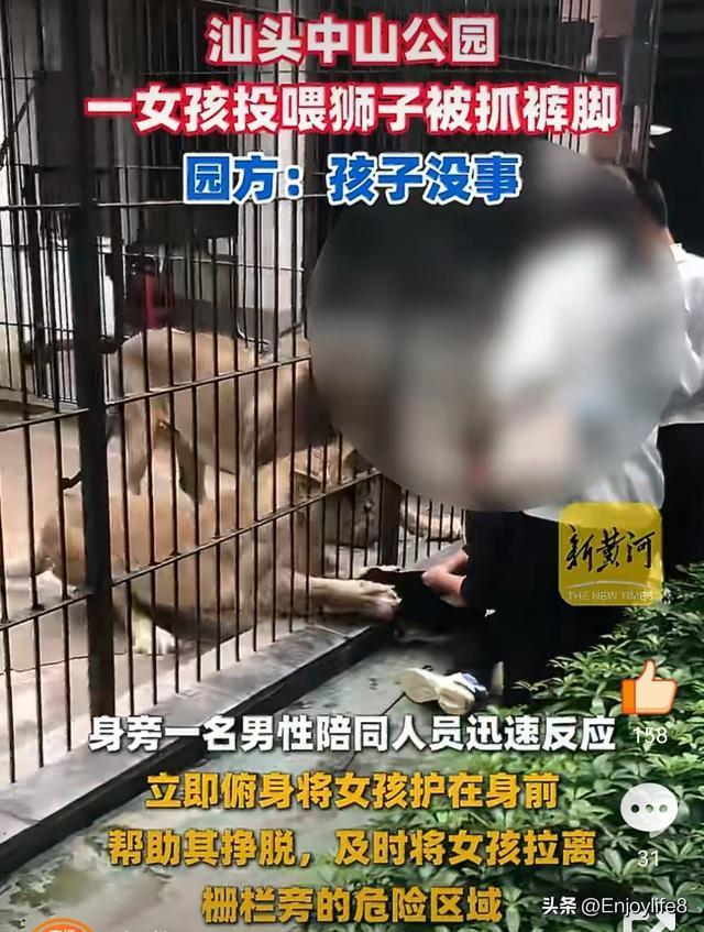汕头中山公园出了件惊险事！2月26日下午，一名10岁女孩在园内动物园投喂狮子时，