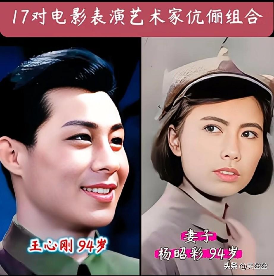 17对电影表演艺术家伉俪组合
王心刚好帅
你喜欢哪几对？