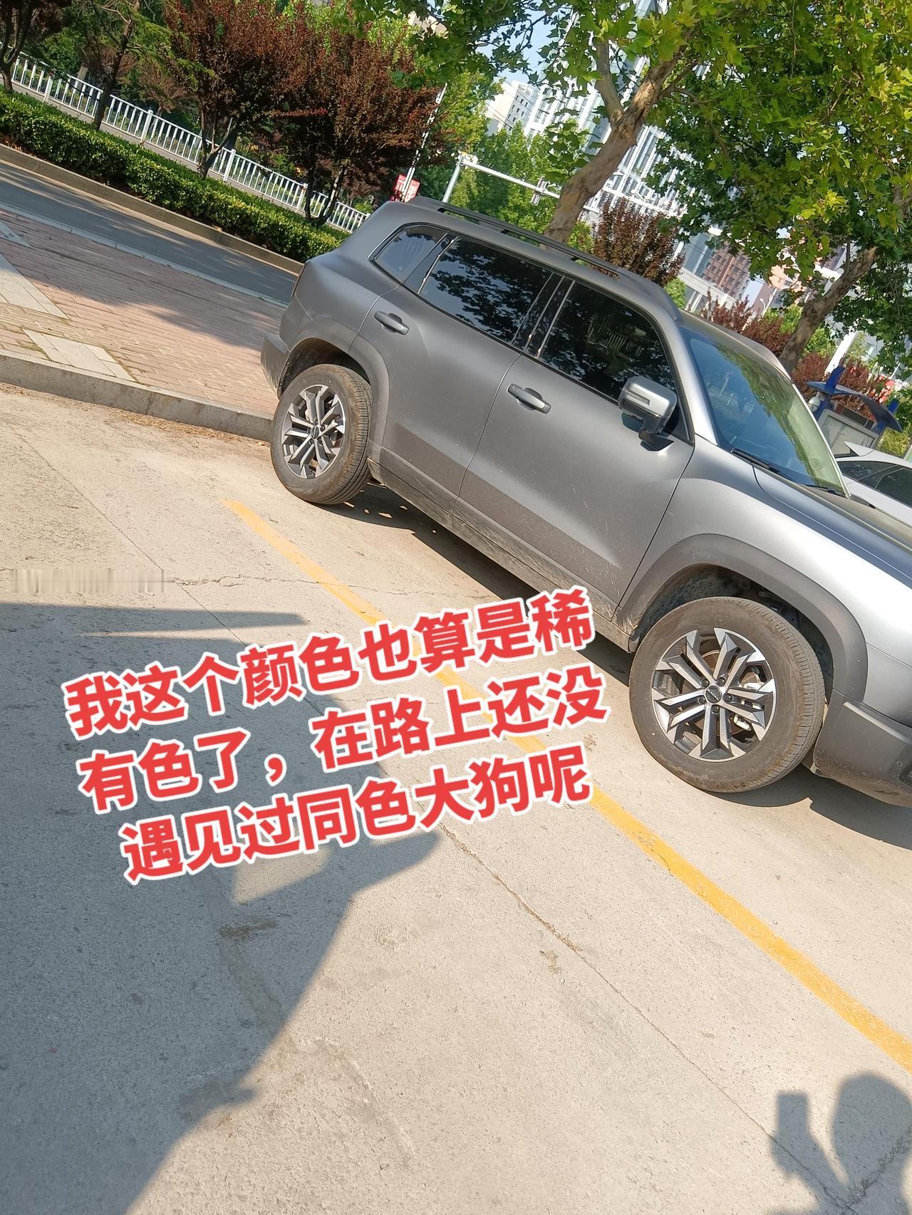 买陨石灰这款颜色的这么少吗？