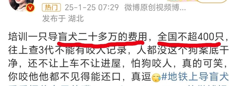 地铁上导盲犬乖乖捂住自己的嘴 截至2023年，我国有超过1700万视力障碍人士。