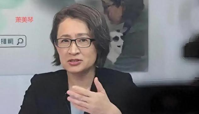 萧美琴又对着外媒放话了，这次还是老调重弹，把大陆维护统一的立场歪曲成“武力恫吓”
