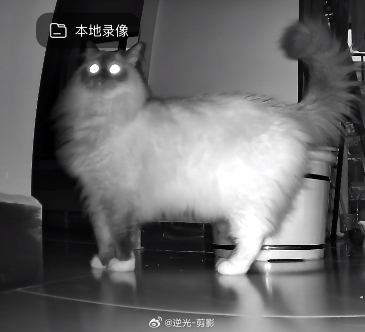 端午假期，留守的宝宝 