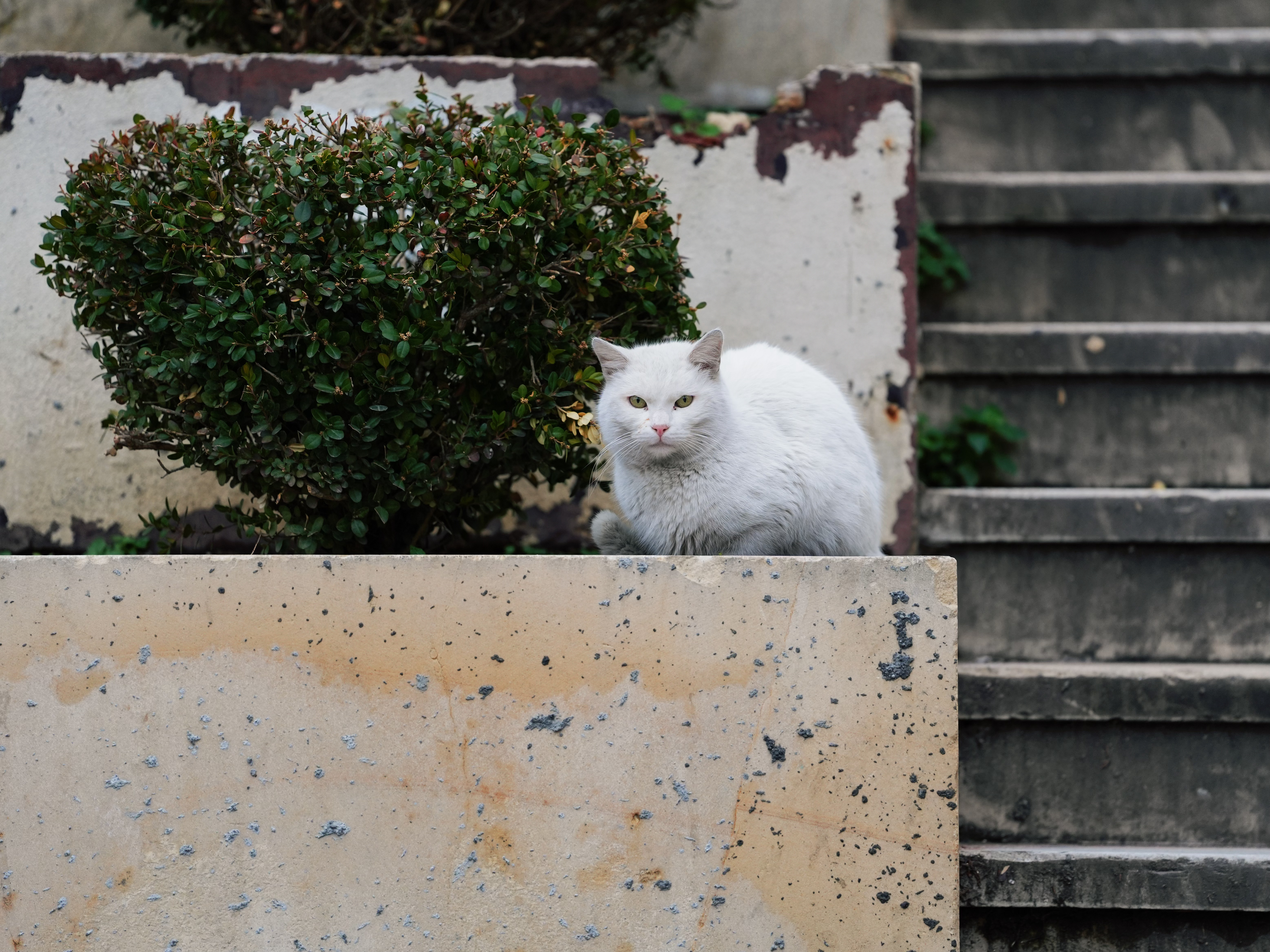 世界首都——伊斯坦布尔🇹🇷转机去巴林🛫明天F1季前测试要开始了！🏎️🇧