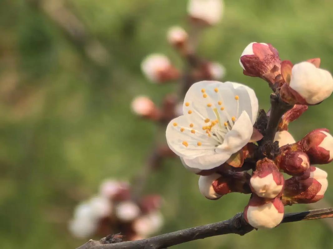 老司机说：
“娶老婆也好，找情人也罢，千万别找那种不上班的，这种女人就是一个无底