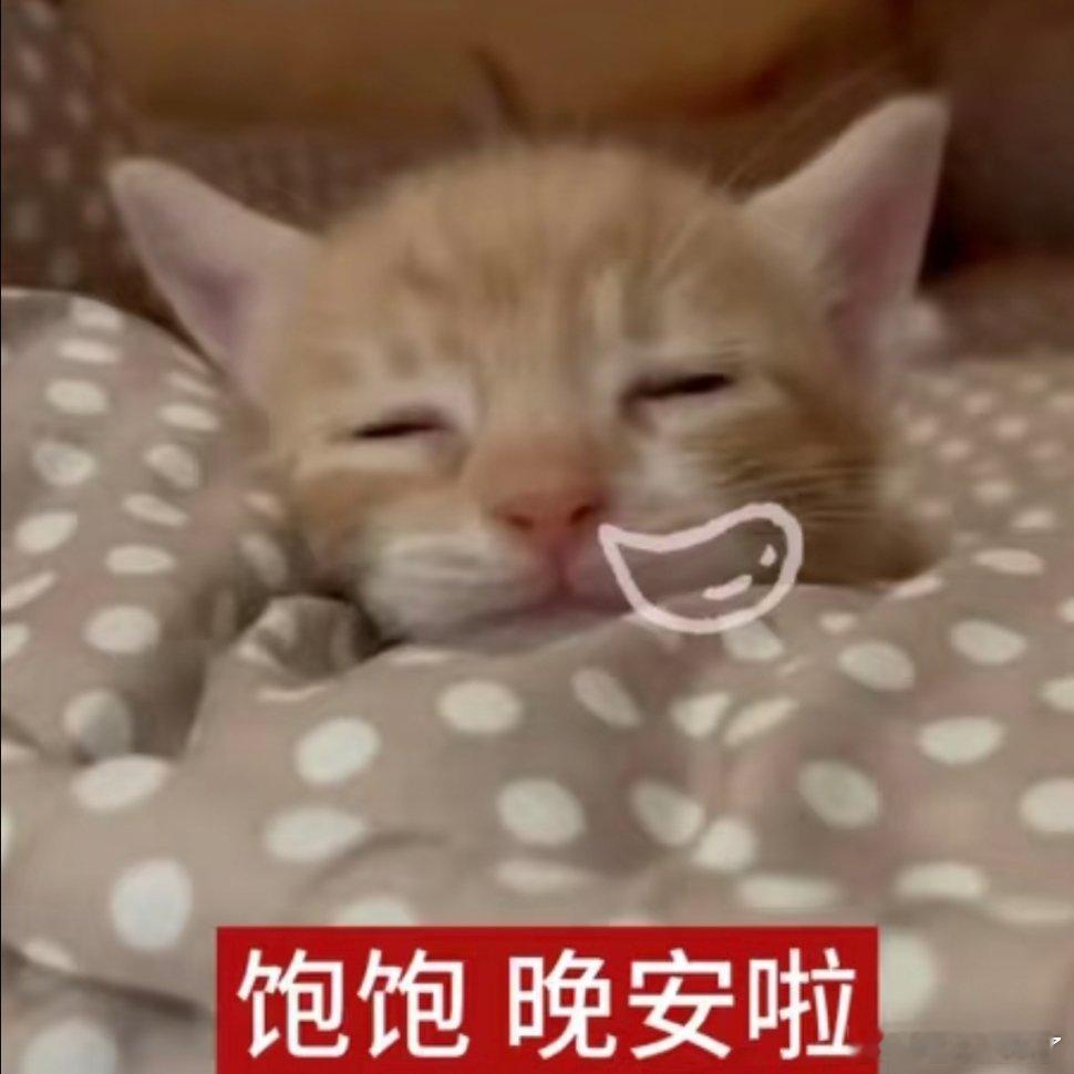 可爱猫咪表情包。 