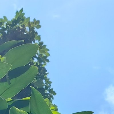 每日一善 善念养善心，善心生善念。德不积不厚，善不行不成。人往高处走，善在心中留
