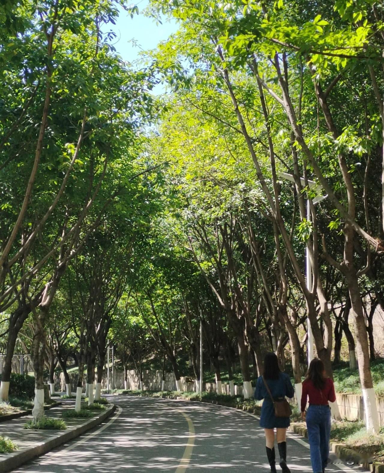 说话最让人吃亏的习惯：爱中途插嘴，越聊越有误会
 
生活里大多数人际关系矛盾、沟