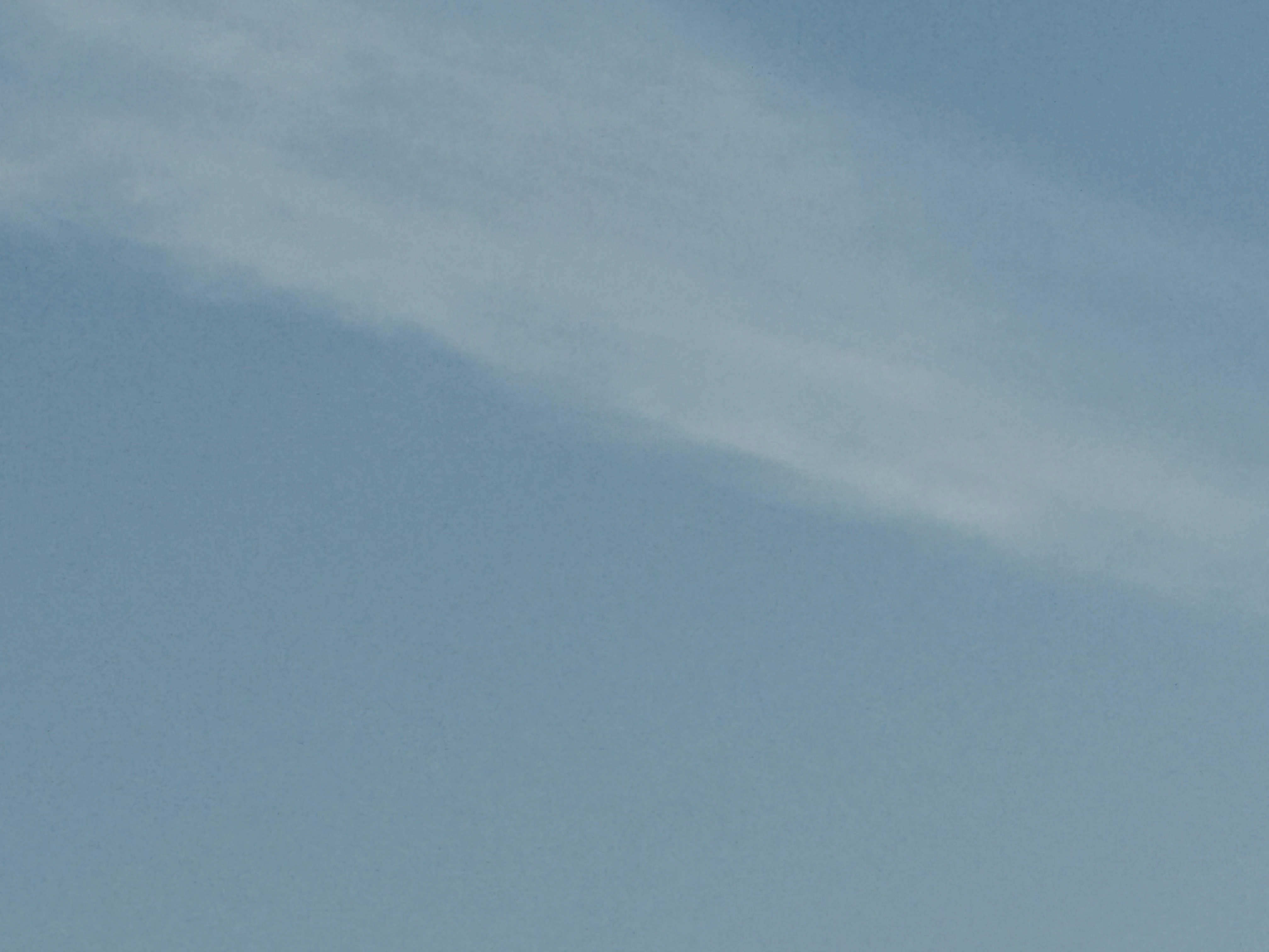 每日一善  暖风裹着新翻泥土的腥气漫过田垄，刚冒尖的麦苗顶着露珠，在晨光里漾出一