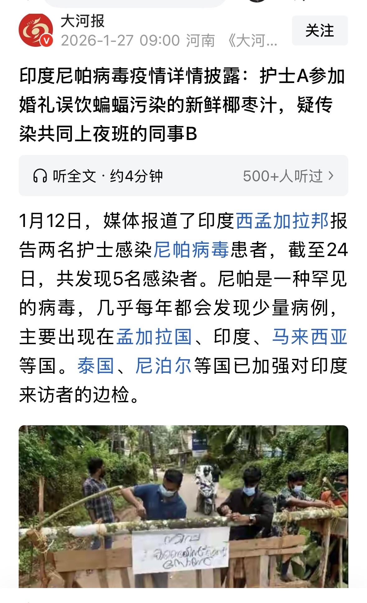 又是蝙蝠惹的祸！