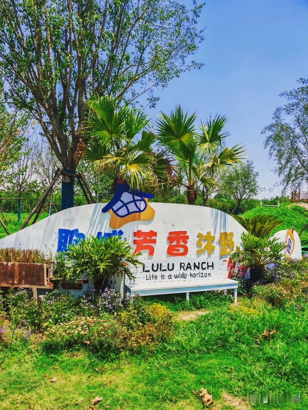 🌸 谁懂啊！在聊城直接闯进莫奈的油画里了！

不用飞法国，就在聊城「芳香沐野」