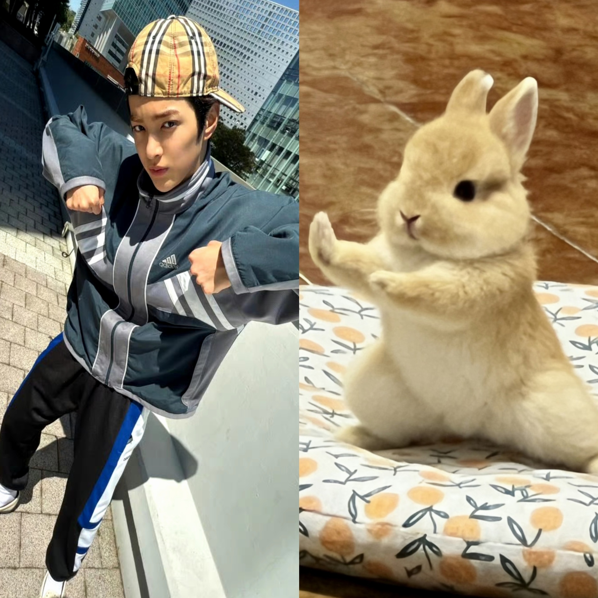分享视频 