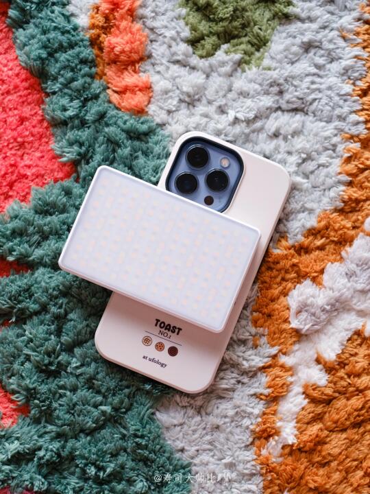 喜欢给小猫拍照的有福了