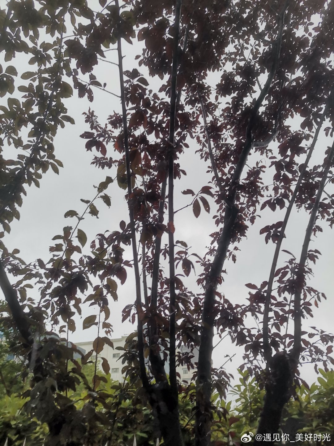这个雨下的太大了，衣服一会就淋湿了 