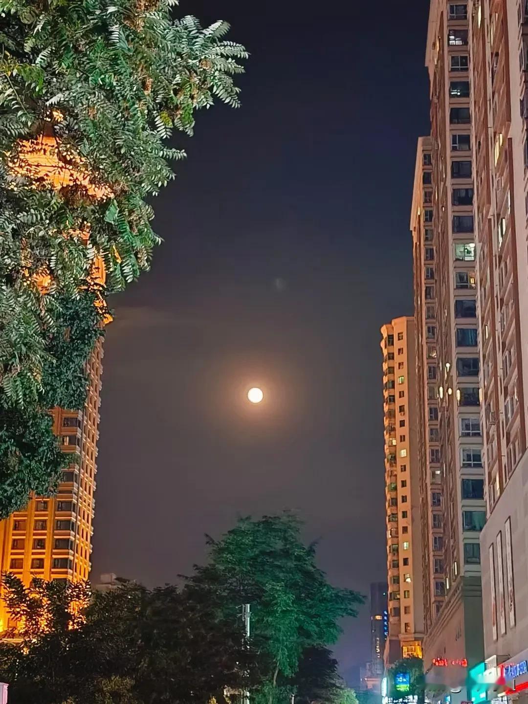 十五的月亮十六圆。
#秋日生活日记#