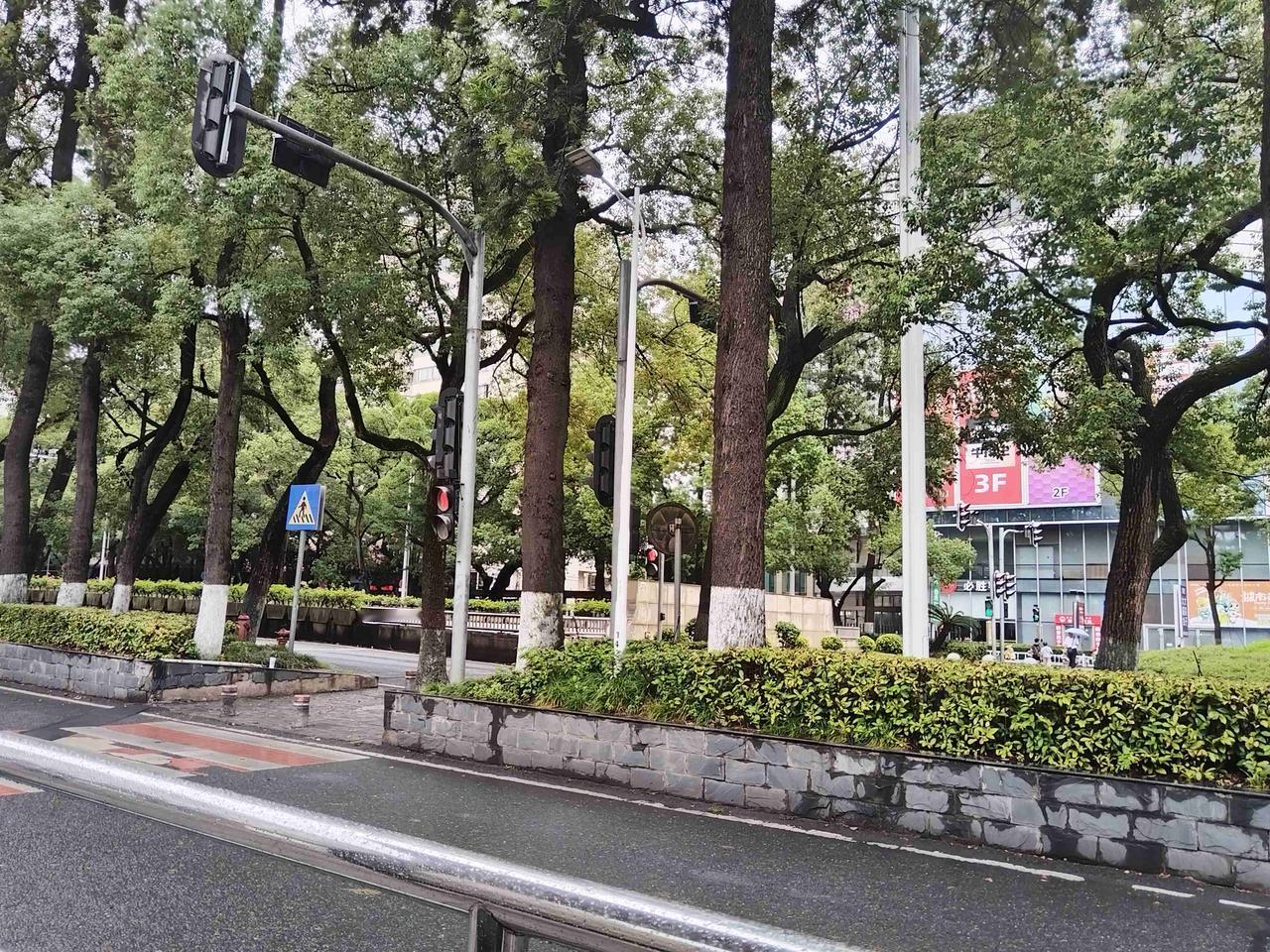 老家遂川的一位长辈生病住院，我从赣州市出发回遂川探望一下老人家。不巧的是今天竟然