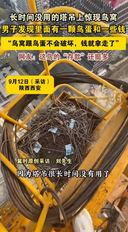 “天上掉馅饼了！”近日，陕西西安，一男子在塔吊上工作时，意外发现了一个喜鹊的鸟窝