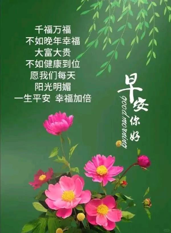 也谈谈教育，工作、婚恋，人口，发展。。。
#时下社会百态#

话之议题挺大，分个