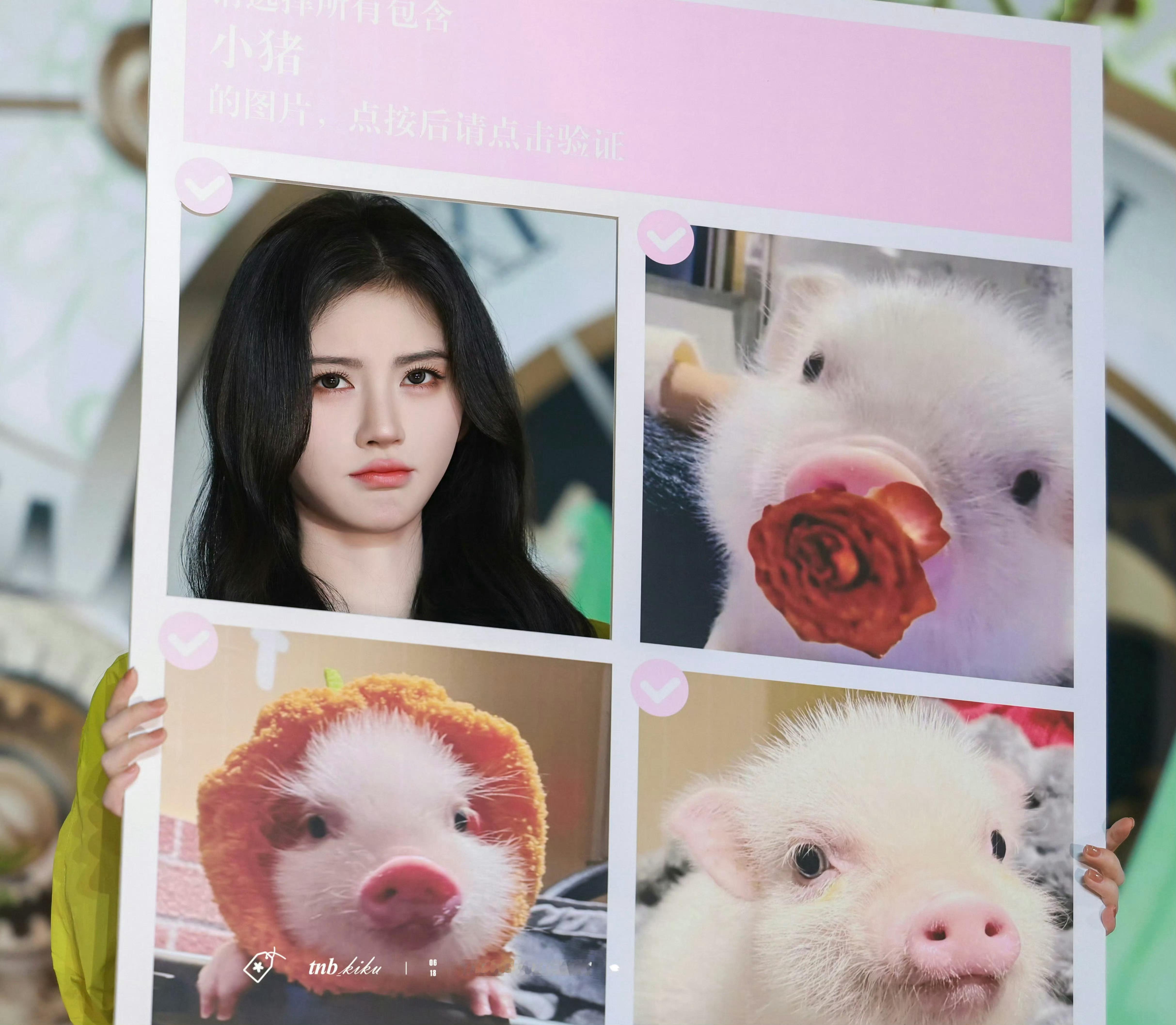 鞠婧祎小猪进食好萌是猪就是猪✋🏻🐷🤚🏻，猪儿进食猪儿萌 ​​​