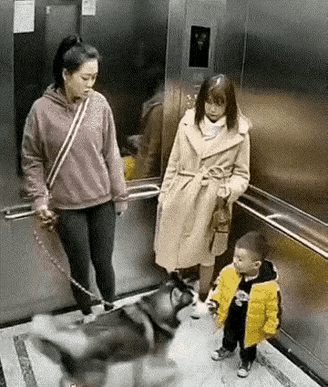 看到都让人揪心，狗主人也不制止一下[抠鼻]