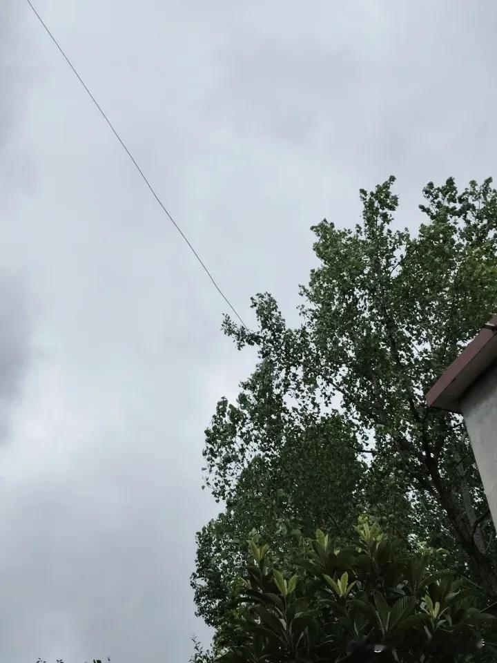 雨后的清新空气，绿意盎然，心情舒畅。
