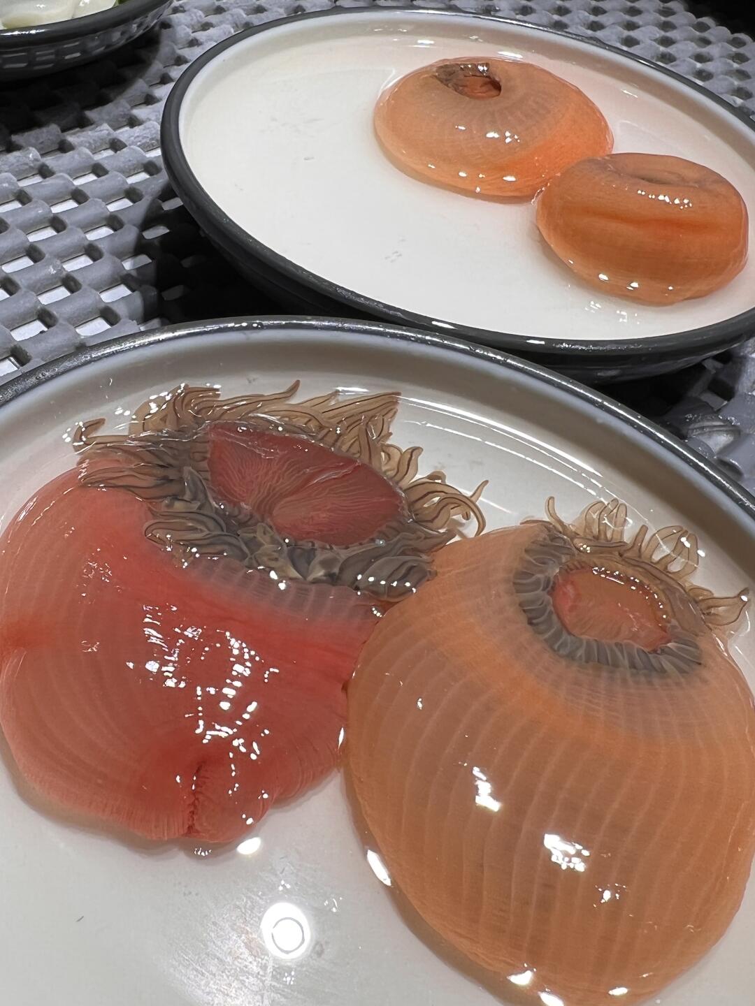 有没有福建人说一下，这个真的好吃吗