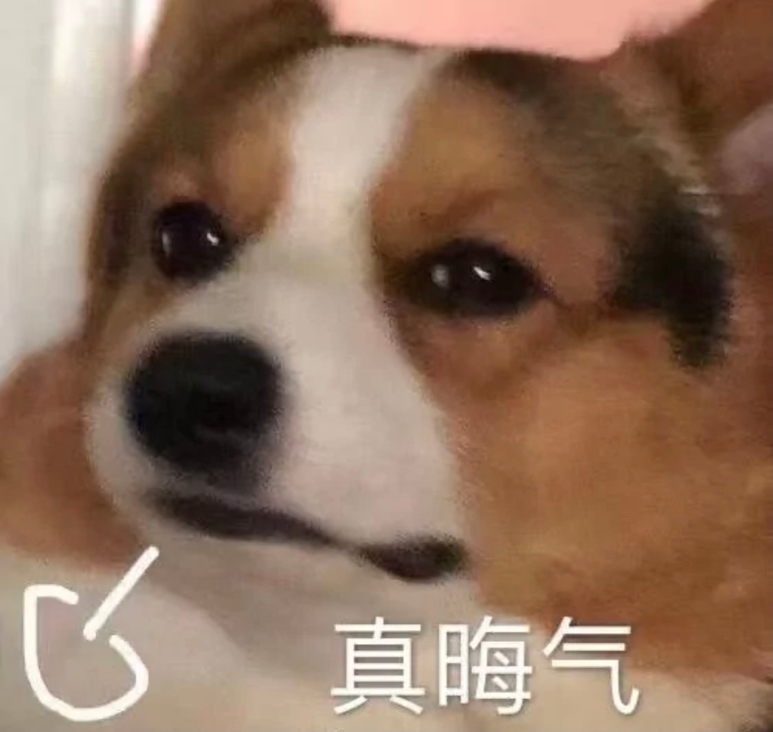 看看zzdf赞助品牌是谁[yeah]别带我宝宝节奏了 ​​​