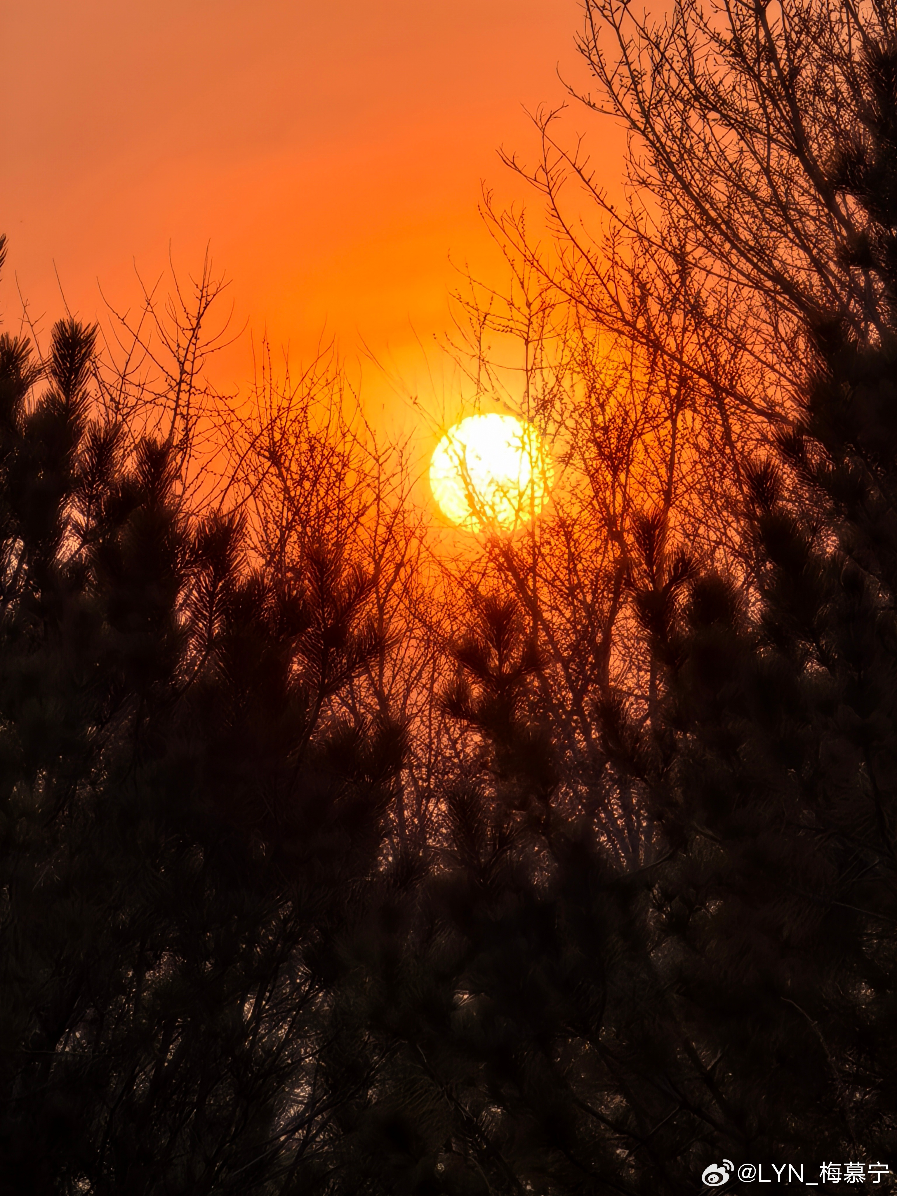 生活手记 偶遇绝美的夕阳，看来明天是个好天啊