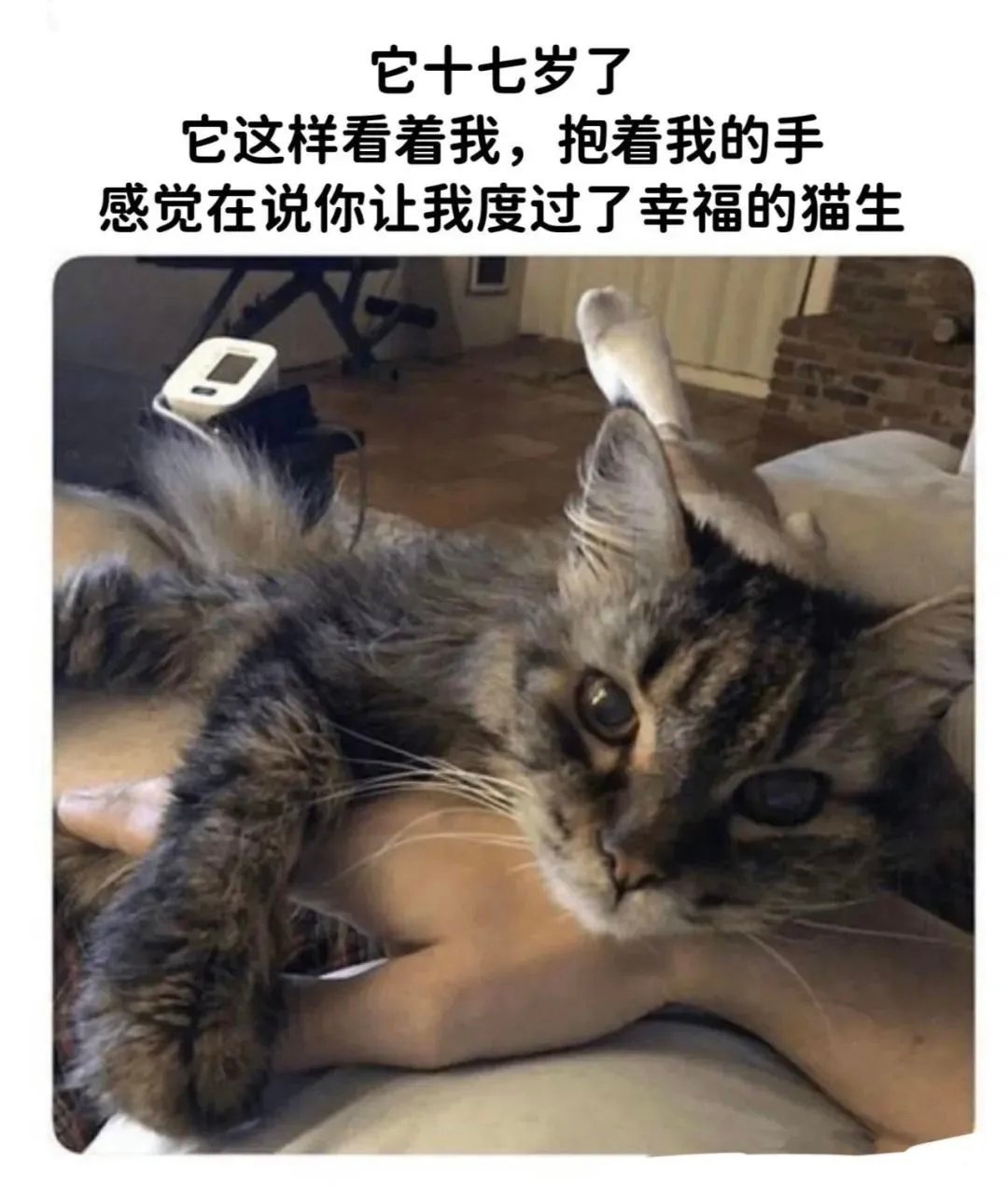 陪伴是最长情的告白 ​​​