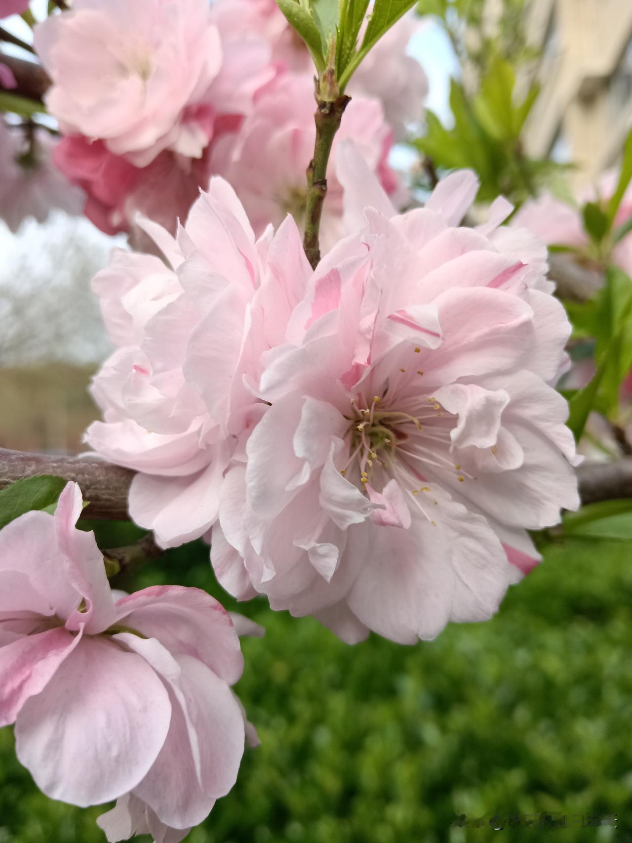 尽量不要在网上买的10样东西
1. 活禽
2. 药品
3. 内衣裤
4. 低价珠