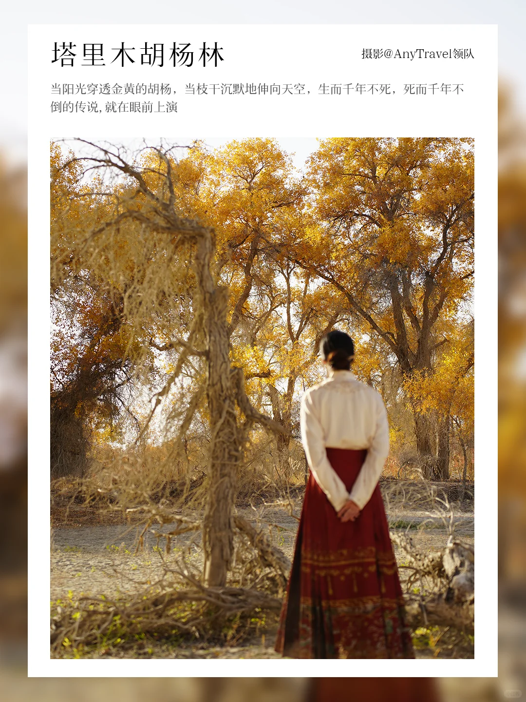 金秋南疆🍂胡杨之景｜邀您共赴8️⃣天赏秋之旅