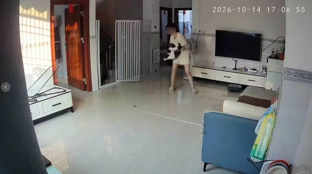 养了6年的猫踹了主人两脚，踹出1000毫升内出血

要不是那张检查单摆在眼前，广