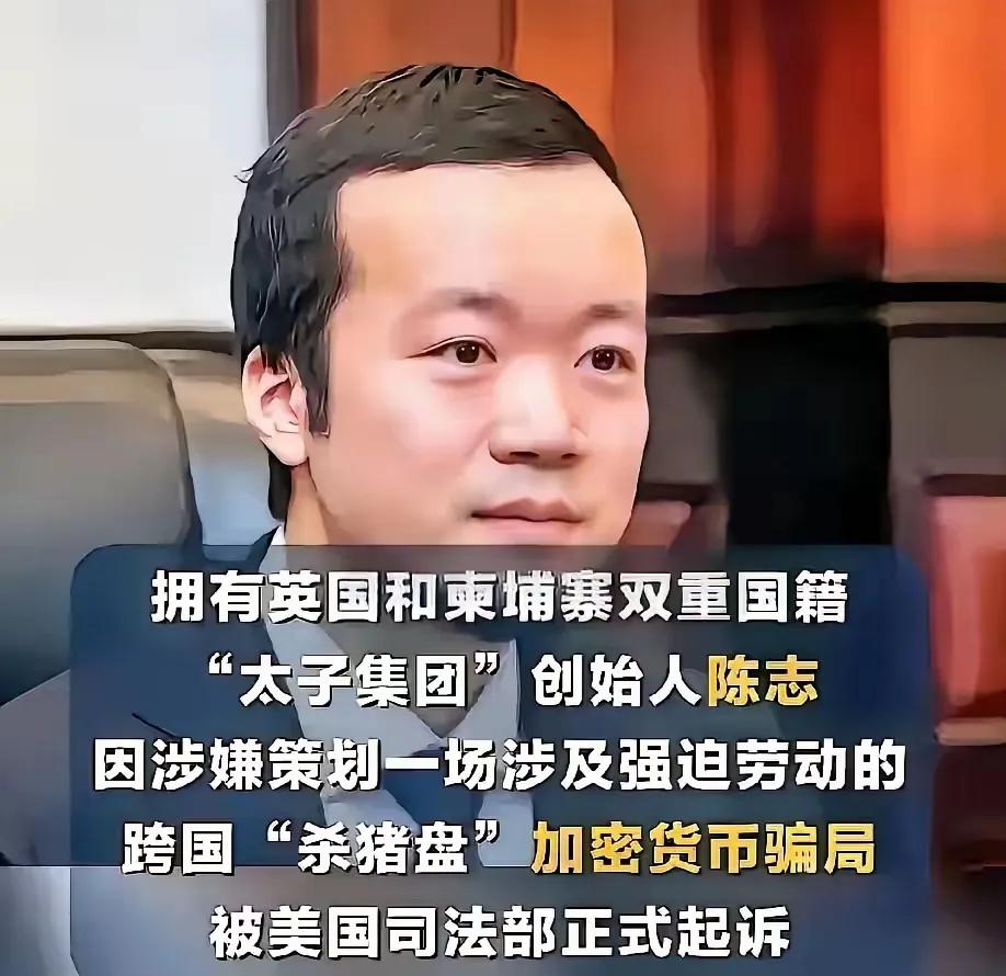太子集团创始人陈志因“招惹美、英、韩等国”陷入舆论漩涡，有人直言他“捅了马蜂窝，