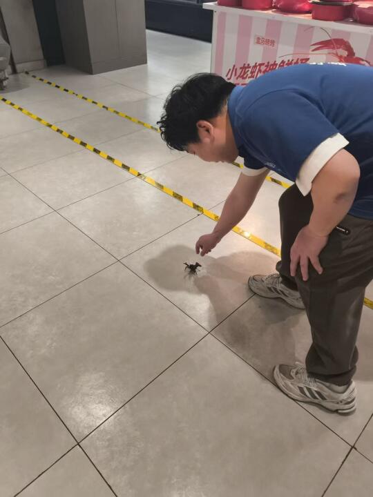 盒马你家的员工偷跑了！要扣工资呀～