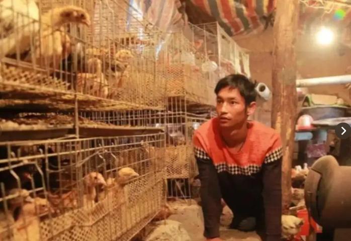 1991年河南农村，一对夫妻把刚出生的残疾儿子丢进村口草丛，没回头。同村一个四十