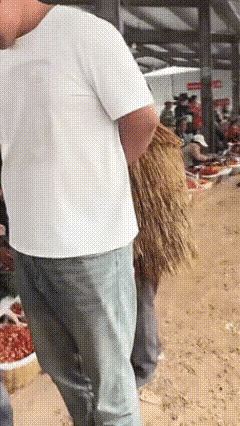 有人出价想要买下大爷的蓑衣，大爷一时间迟疑不决。待到大爷掀开蓑衣内里展示全貌，在
