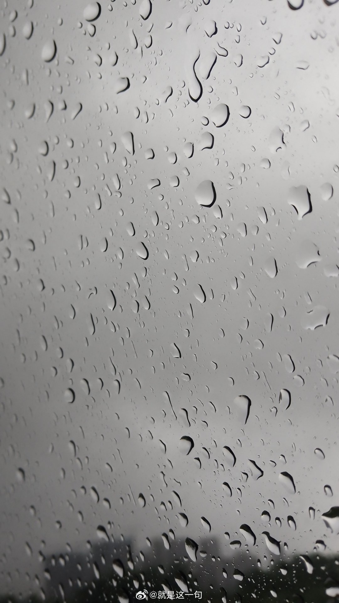 天天淅沥沥下的雨  👙bar都没得穿了 