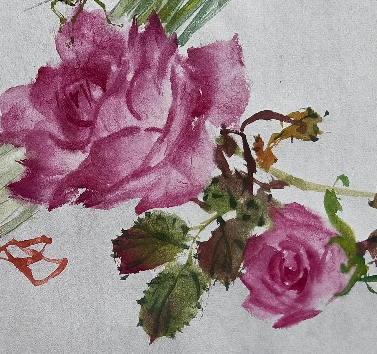 月季花和白菜
