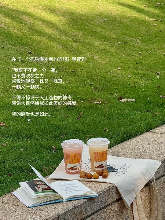 会反复爱上盛夏的公园。