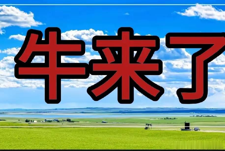 今后的大盘指数会涨到不可思议的地步，有人认为我胡扯，那你应该看看我之前的文章。什