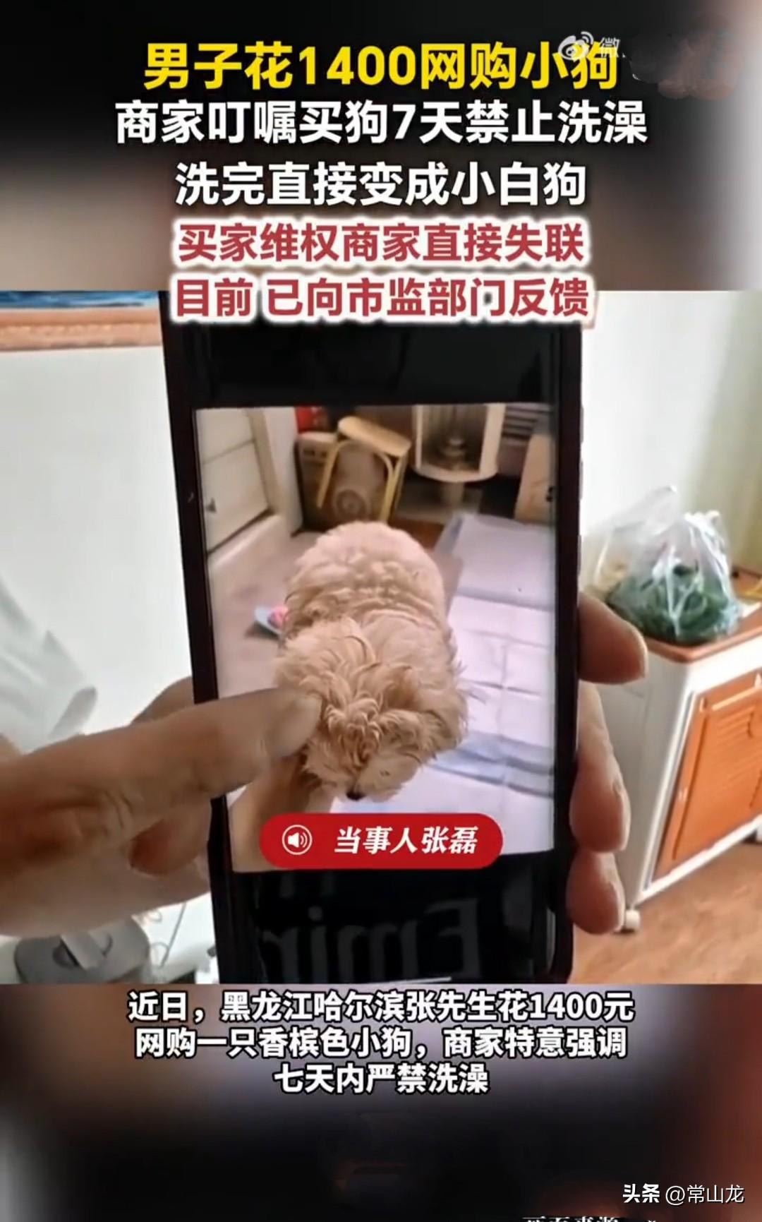 哈尔滨张先生网购宠物时，竟然碰到了一起现代版《狸猫换太子》。
张先生在朋友圈里偶