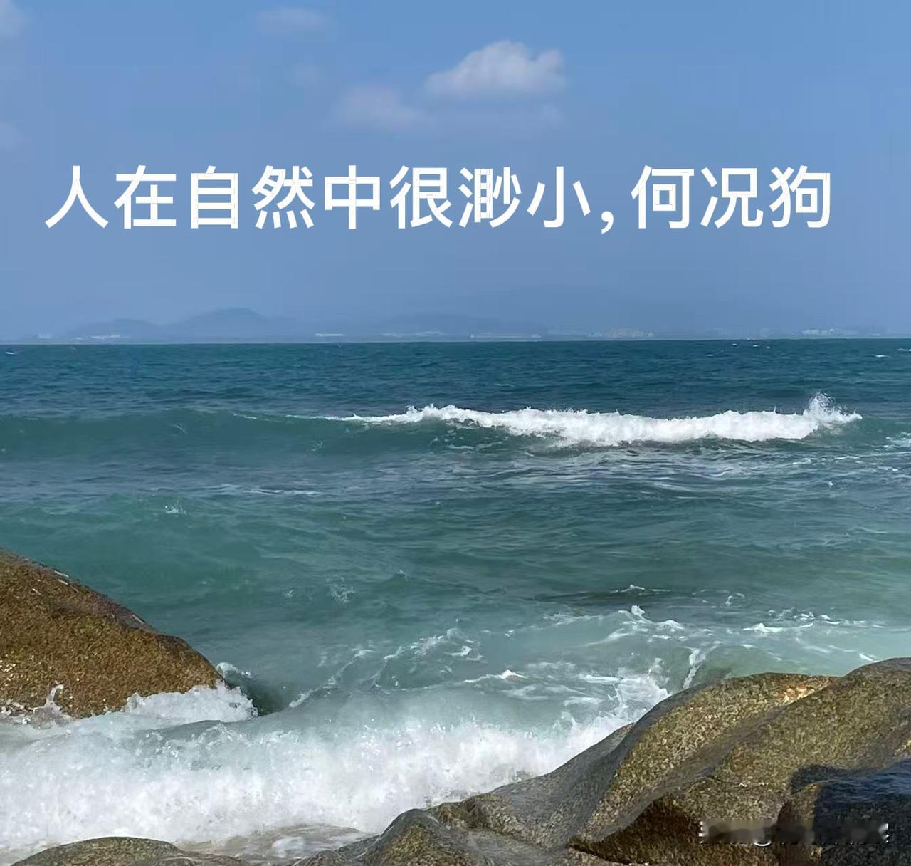 狗是人类的朋友，纯属扯淡，狗只是某个人的奴才，是他人的敌对者。
        