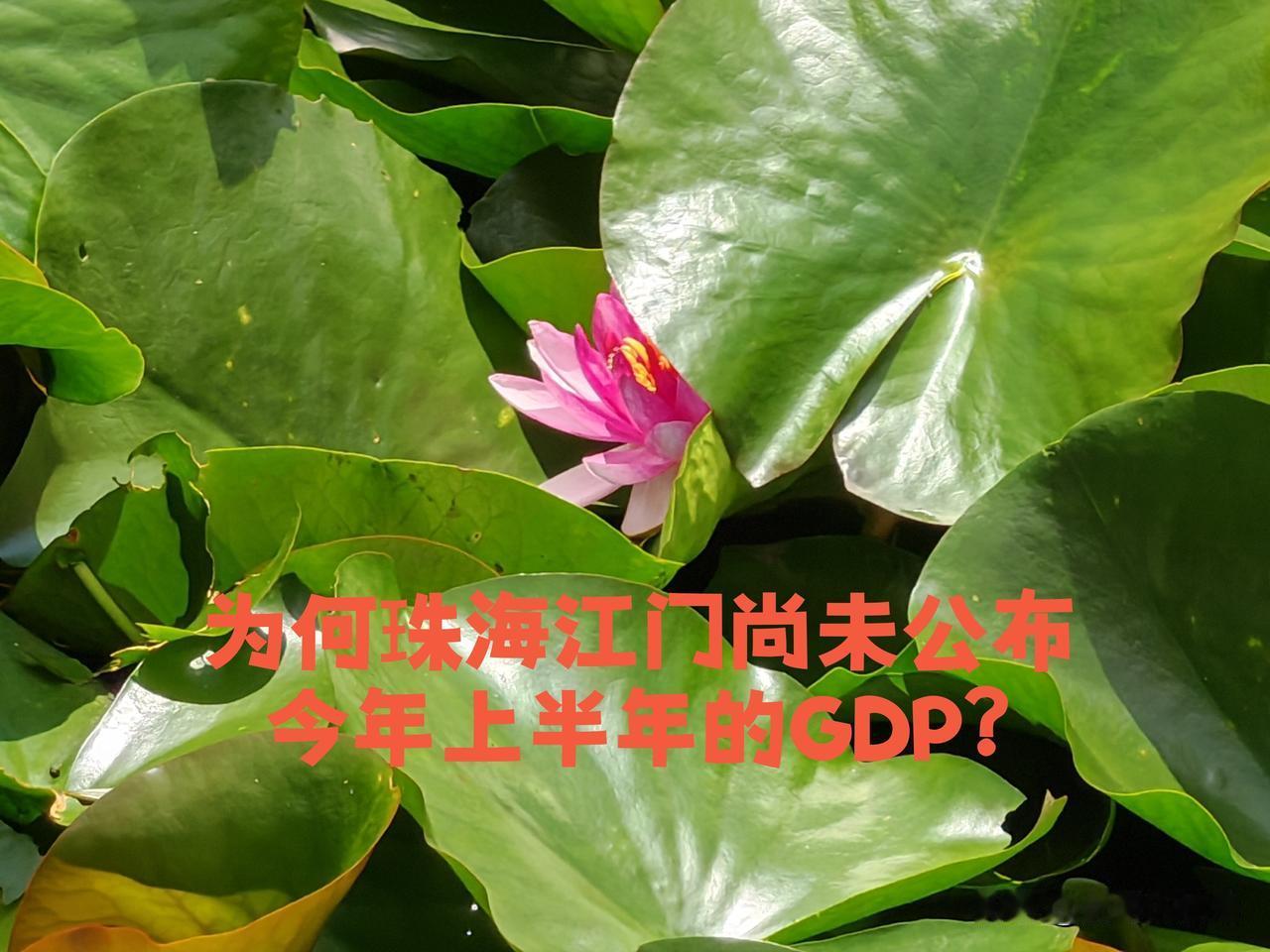 珠海、中山、江门同属珠西都市圈。目前，仅有中山公布了2026年上半年的GDP数据