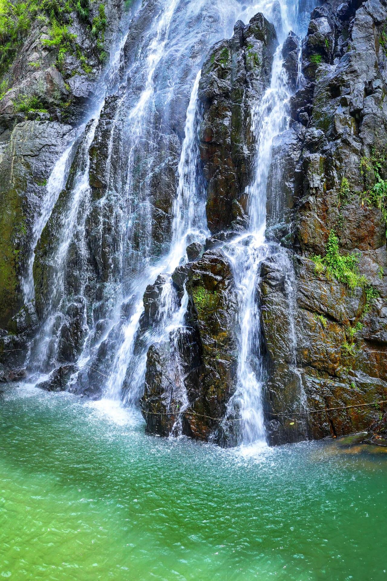 🌿金华磐安——“群山之祖，诸水之源”的天然氧吧，海拔500多米，山清水秀，春天