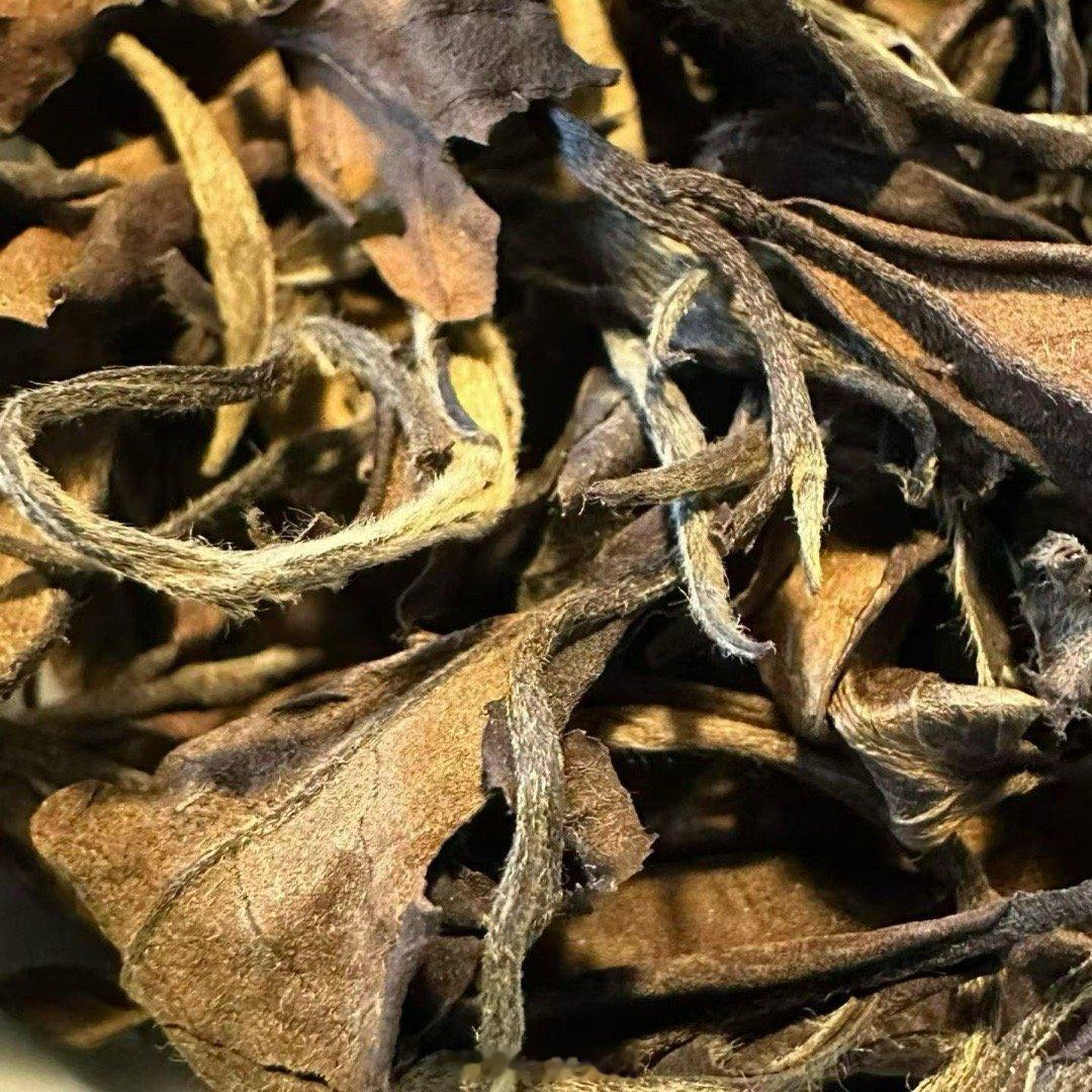 世间所有极致的美好，从不会仓促奔赴。人生最珍贵的修行，是学会放慢脚步，温柔对待生