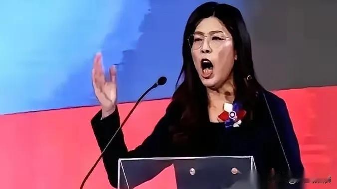 全场都安静了。
 
那个叫郑丽文的女人，直接把话说透了。她说“回家”这两个字的时