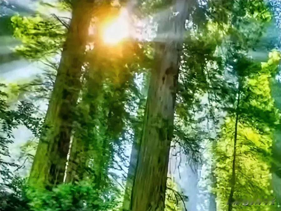 福彩快乐 8 第 255 期选号思路：聚焦中冷与热号。
 
在第 254 期开奖