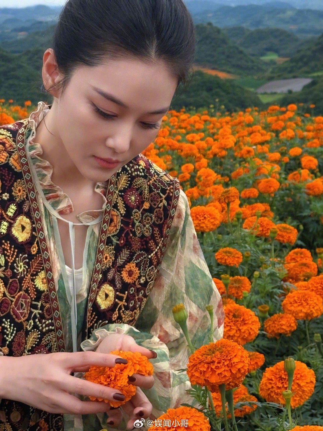 张馨予云南花海里画花花开中国 天呐！张馨予在云南红河花海美成风景线。视频里挥手便