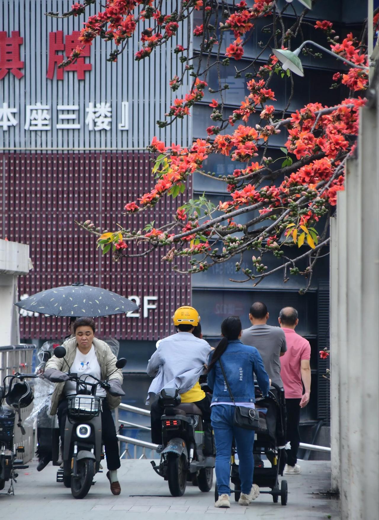 雨中穿梭的繁华，车水马龙的都市生活。秋天的城市街景 发现街头美好 城市一隅的浪漫